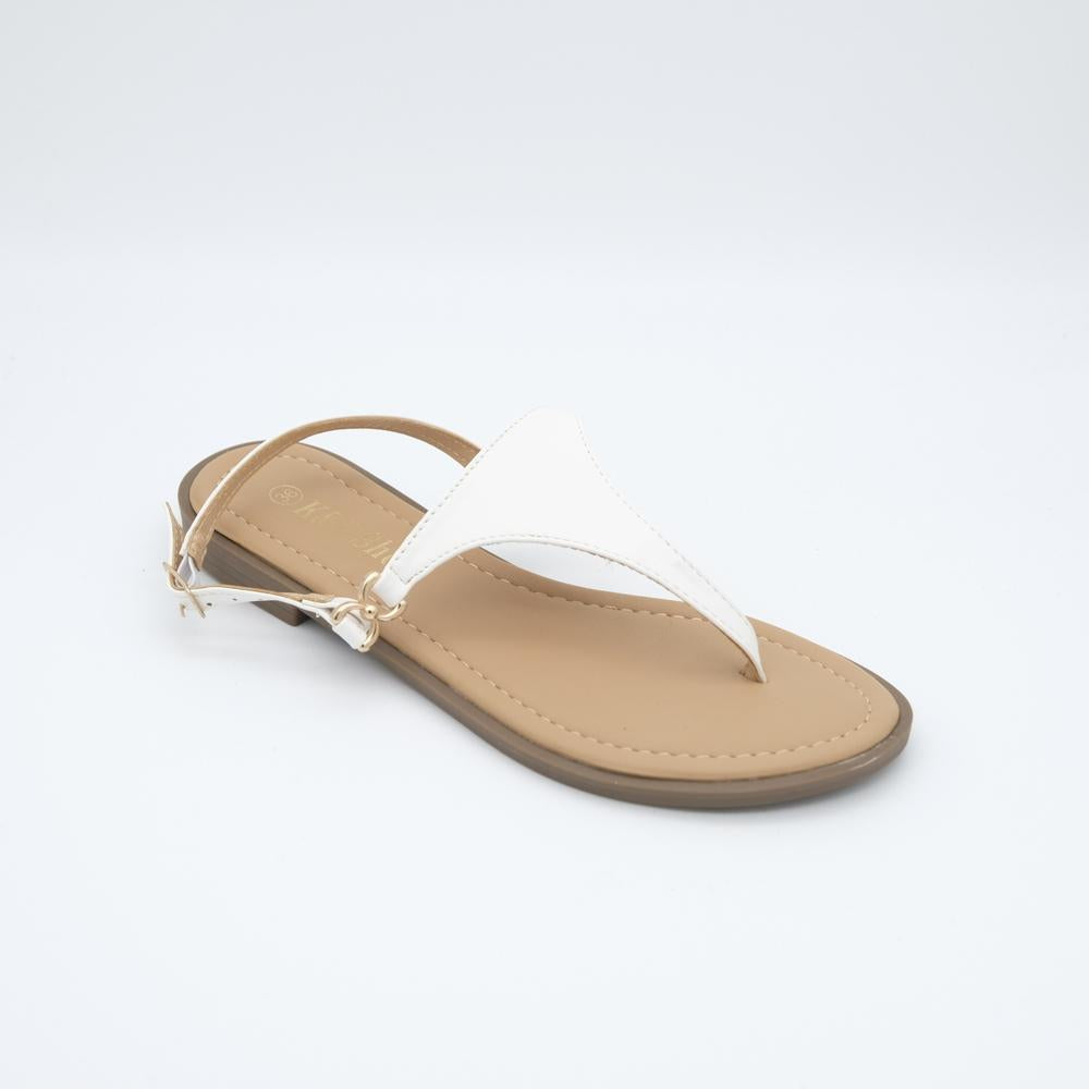 02530_8|967f89dbd0e2d436d79e2db92e9c8f27